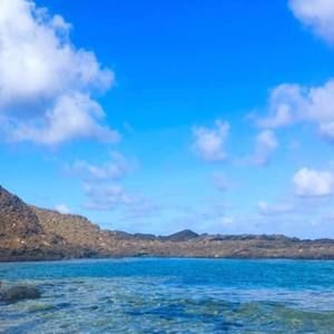 Meet your Posher, Jelai